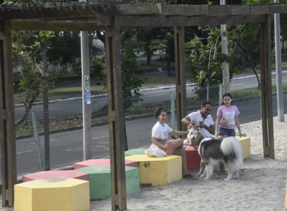 Parcão: o lugar certo para o seu pet correr solto