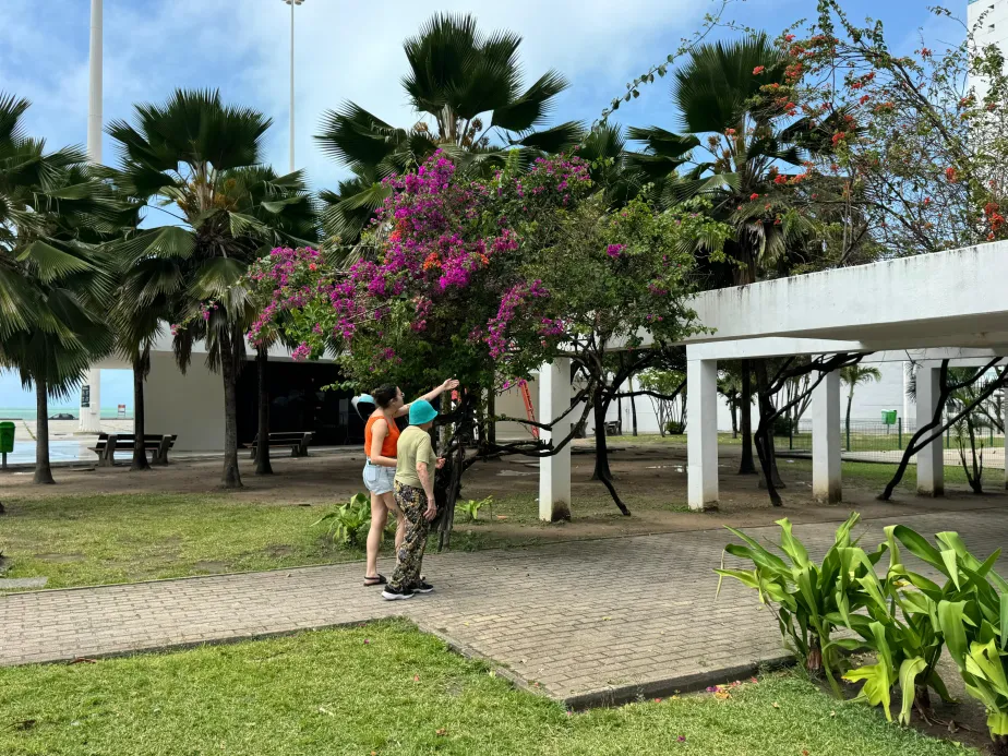 Movimento, saúde e bem-estar com vista para o mar: os benefícios de se exercitar no Parque Dona Lindu